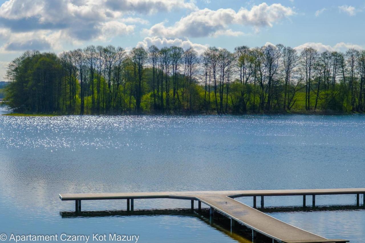 Вилла Czarny Kot Mazury Dom Caloroczny Malkinie Экстерьер фото