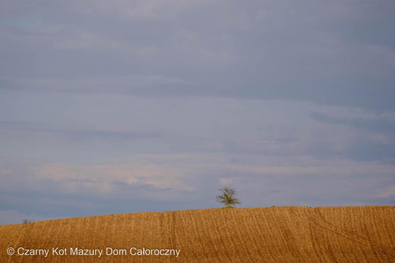 Вилла Czarny Kot Mazury Dom Caloroczny Malkinie Экстерьер фото