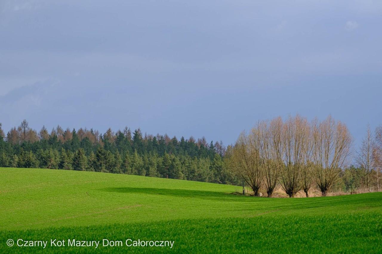 Вилла Czarny Kot Mazury Dom Caloroczny Malkinie Экстерьер фото